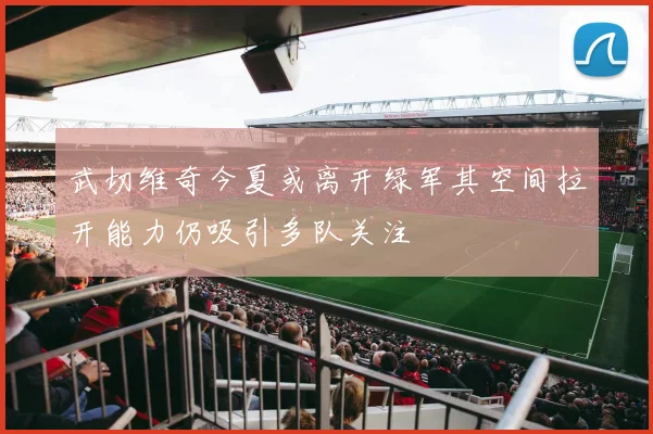 武切维奇今夏或离开绿军其空间拉开能力仍吸引多队关注